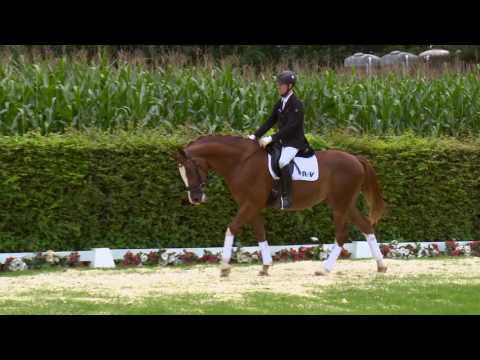 05 Don Piccolo  Wallach v. Don Schufro - Fürst Piccolo