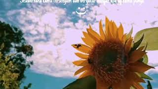 Download lagu Story Wa Romantis Bikin Baper 30 Detik mp3 Download lagu Story Wa Romantis Bikin Baper 30 Detik mp3