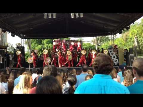 GAITAS CAMPITOS 2015 INSTITUTO ANDES 08 11 2015