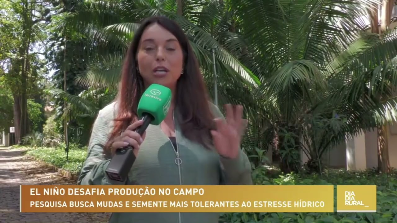 Pesquisa busca mudas e semente mais tolerantes ao estresse hídrico