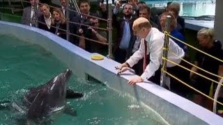 preview picture of video 'Extrême-Orient russe: Poutine visite un océanarium'