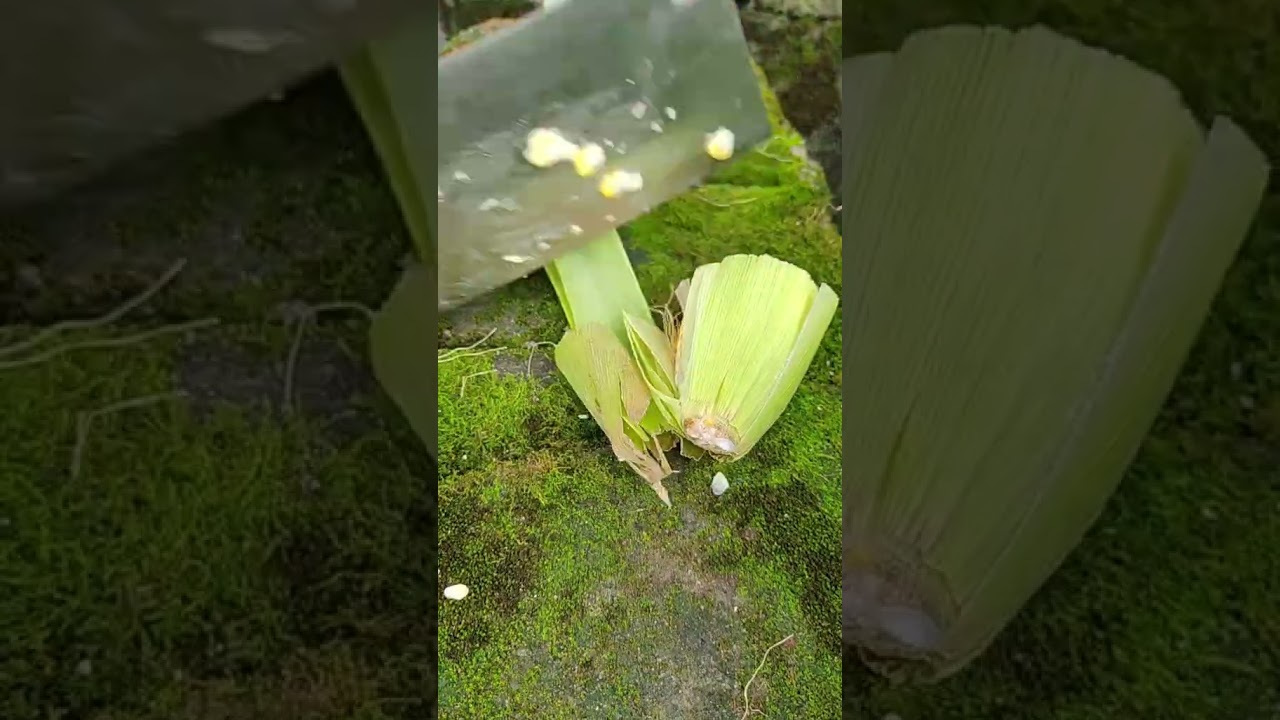 GT700040 mini rotary tillage and ridging all in one tree