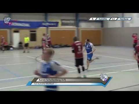 Hamburg-Liga | 13/14 | TuS Aumühle-Wohltorf 1 vs. AMTV Hamburg 1 | Spielbericht | SPRUNGWURF.TV