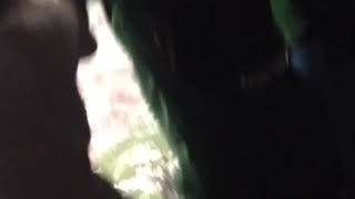 Download lagu Persebaya Vs Persib Gojek Liga 1 2018 mp3