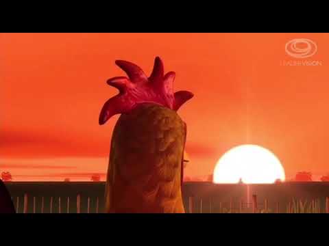 Bartolito era un gallo que vivía muy feliz