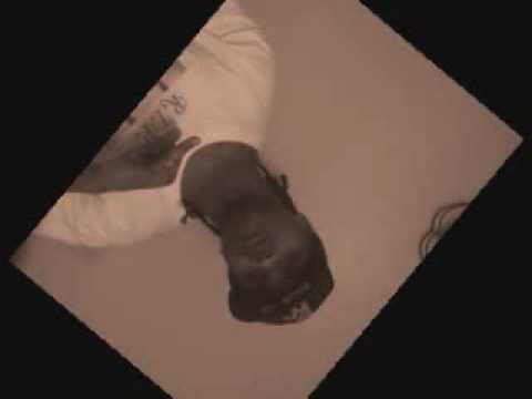 Tez, Noogie, Chubb, Buka Nbg To N.O.D.G