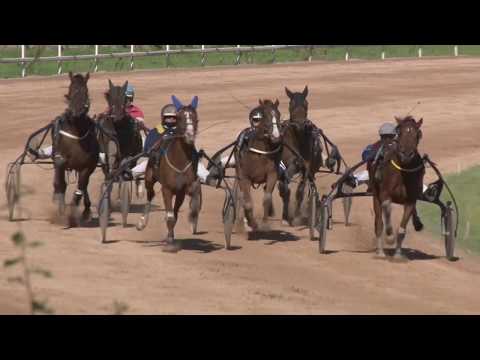 Qualifications - LOT 6 Grosbois 26 05 2017