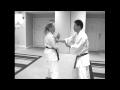 Taira Bunkai 2010 Shisochin Kata Training Notes Abridged