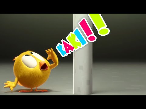 ¿Dónde está Chicky? 2020 | KAKI!! | Dibujos Animados Para Niños