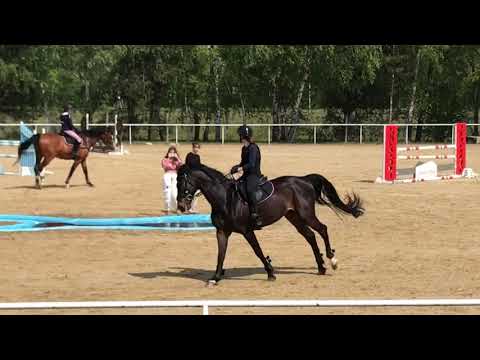 Grandios & Jagoda Data - parkury treningowe Stadnina Koni Leśna Wola kwiecień 2020 - 115cm