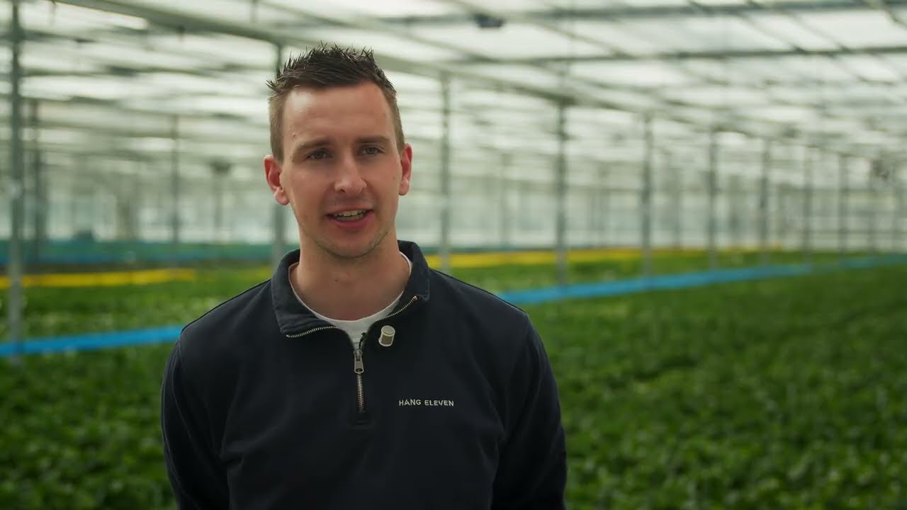 De Jong Plant BV