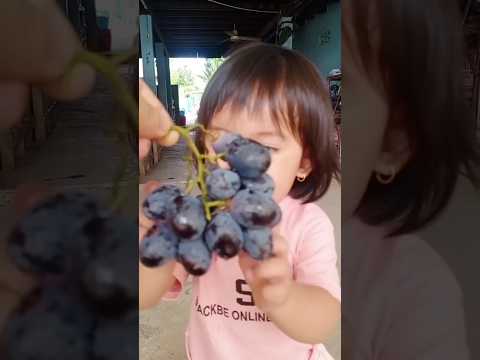 , title : 'my daughter want to eat Grapes🍄🐙. #shorts #youtubeshorts #shortsfeed #grape #trending'