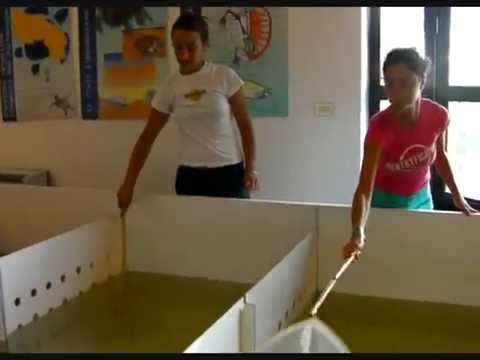 Tartanet 18-24/08/08 (by SD)