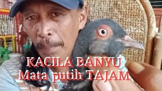 Download lagu SMART and SHARP white eyes @idola812 mp3