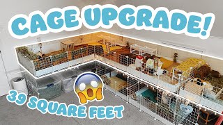 HUGE CAGE RENOVATION FOR MY NEW GUINEA PIG HERD! 😱