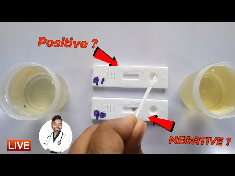Live pregnancy test 2025