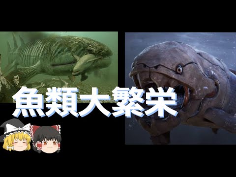 フィシス フィシス (ブラウン ムステル)