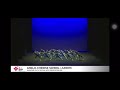 SYF Dance ACSJ 2022 Junior Vibez