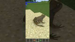 Realistic FROG !!! Minecraft  🐸