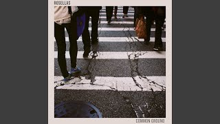 Rosellas - Common Ground video