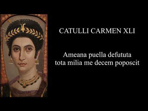 Catullus 41 in Latin & English with Vocabulary & Grammar notes: Ameana puella defututa