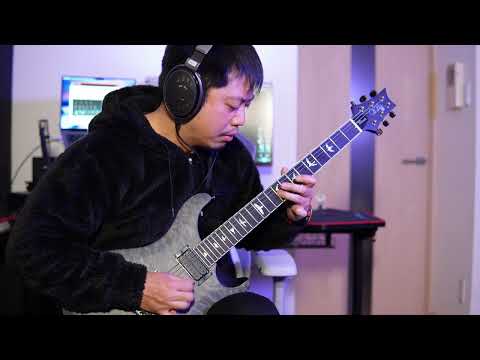 PRS Limited Edition Stealth SE Mark Holcomb 2017 - Gray Black Satin image 13