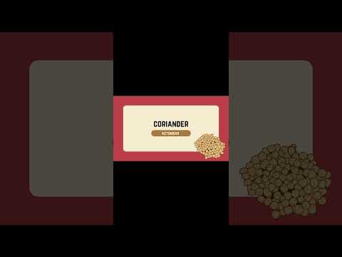 10 Cooking Spices in English🫚