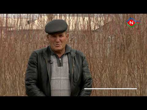 Ailə təsərrüfatı - 24.03.2021