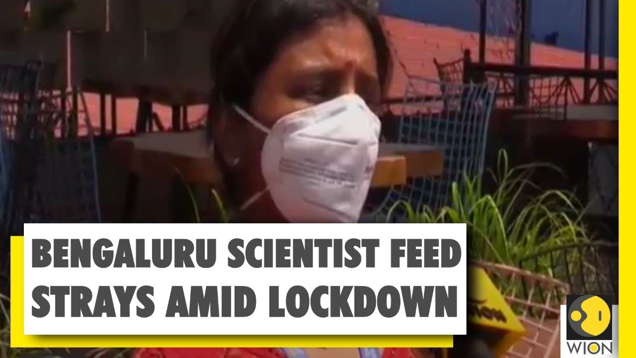 LockdownIndia StraysInLockdown CoronavirusIndia LockdownIndia StraysInLockdown CoronavirusIndia
