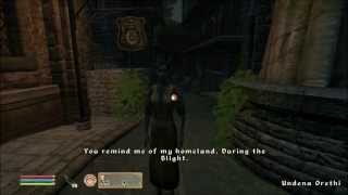 Let's Play Oblivion Part 42 - The Cause of Accidents Feat. Lymanity