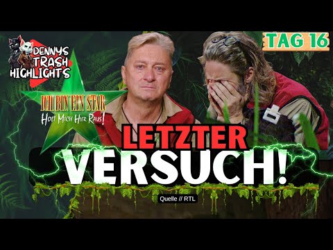 KURZ VOR FINALE! Wird Gil Ofarim DAS ZUM Verhängnis? Tag 16 #IBES 2026