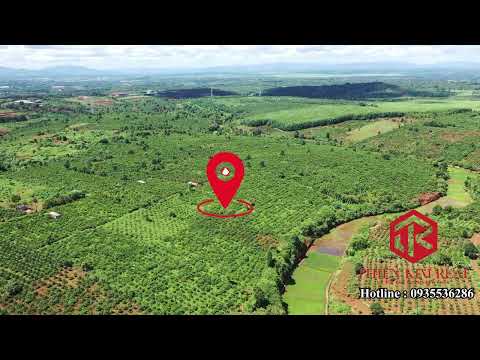 Đất vườn trong thành phố Pleiku , khu dân cư hiện hữu , giá 295/nền (100%)