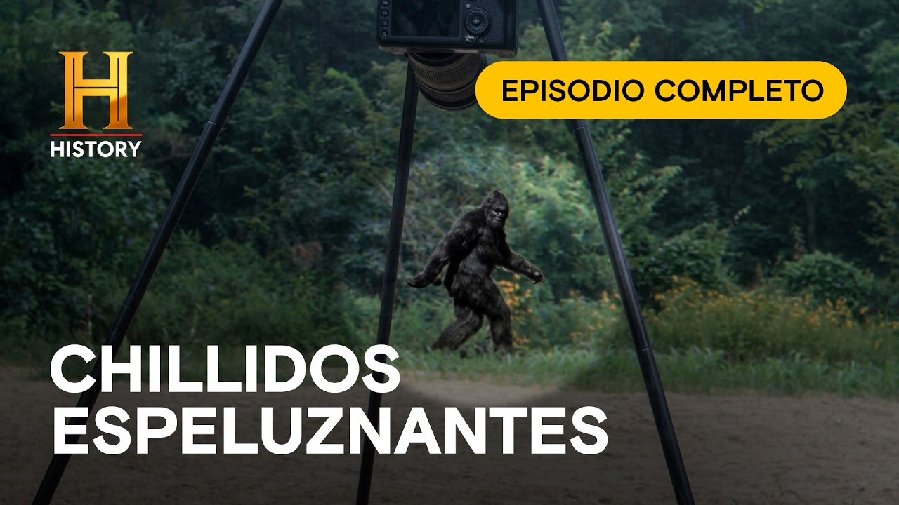 🌲👣 Buscando a la aterradora Bestia de Kentucky - Monsterquest - Episodio Completo