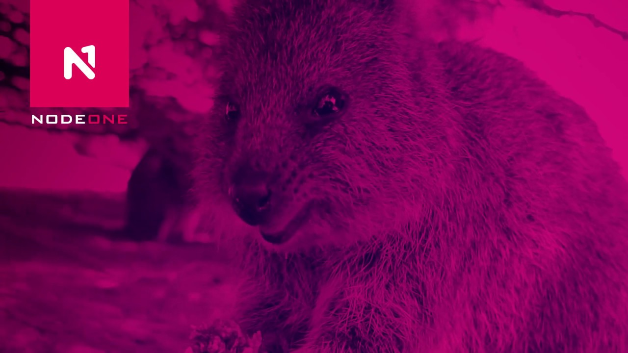 NodeOne TV Ad: WA Locals