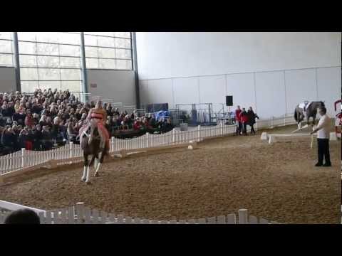Pflicht Miriam Freund & Letitia - Euroclassics Bremen 2013