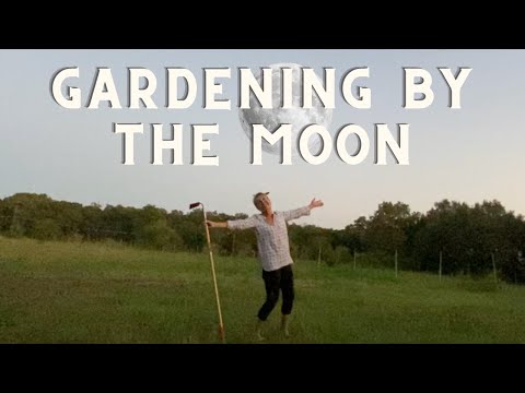 How to Plant by the Moon 🌙