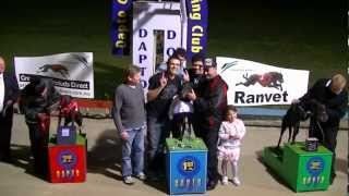 preview picture of video 'Dapto Dogs 20Sept2012   Greyhound Races & Presentation'