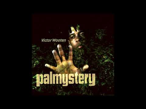 Victor Wooten - Palmystery (2008)