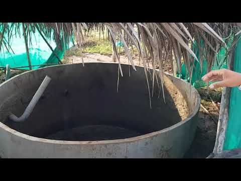 What Cuba can teach America about organic farming