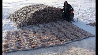 Ловля крупной щуки на севере зимой