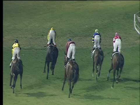 Galoppo 02/08/2017 - 6ª corsa