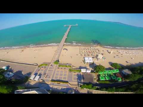 First U-turn Redout Fly in Sea Garden