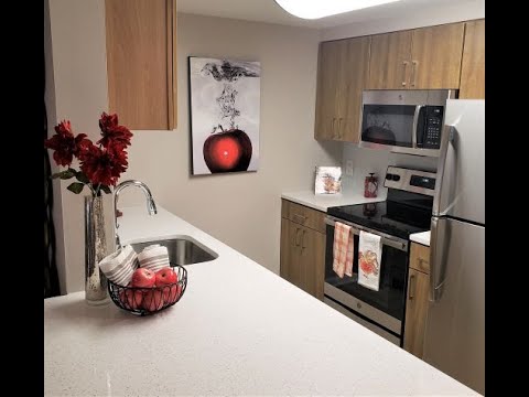 Take a Tour of Our Dumbarton (1B) Floor Plan