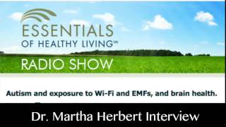 Dr. Martha Herbert:  Wireless and Autism on Village Green Radio Show