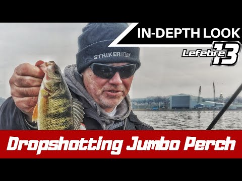 How To Catch Perch With A Drop Shot