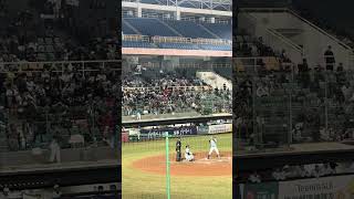 【TeamTaiwan】#黃劼希應援 #賴可 #維心 #芃芃  #冬季聯盟@斗六棒球場 20241130 #台湾チア #cheerdance #cheerleader #cpbl #awb