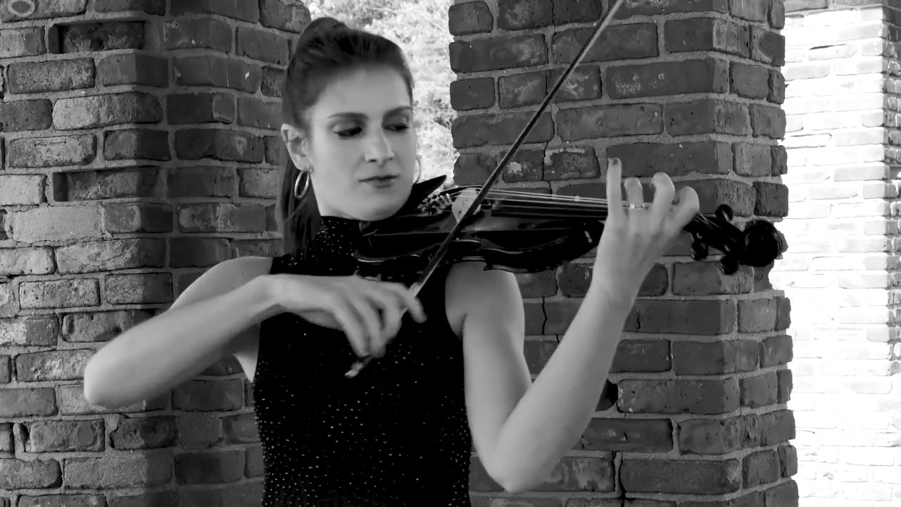 Promotional video thumbnail 9 for NY Music Entertainment