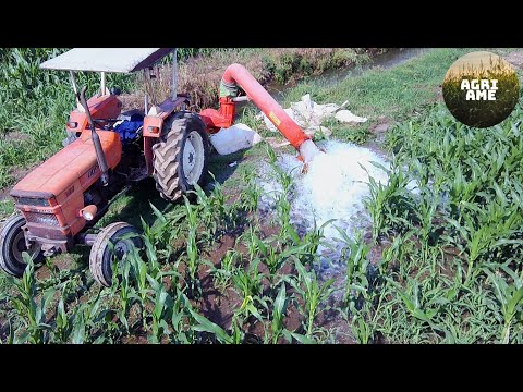 Irrigazione mais 2020 | Fiat 640 + Veneroni | Azienda agricola Lissana