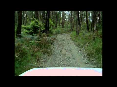 Jar of hoons- Paddock bomb