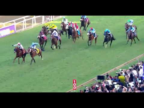 WINCHESTER MANSION - 2023 HOLLYWOODBETS DURBAN JULY